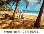 Surfboard and palm tree on the beach, surfing area. Travel adventure and water sport. Beautiful Sri Lanka