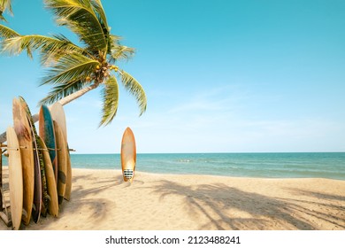 Surfboard and palm tree on beach with beach sign for surfing area. Travel adventure and water sport. relaxation and summer vacation concept. vintage color tone image. - Shutterstock ID 2123488241