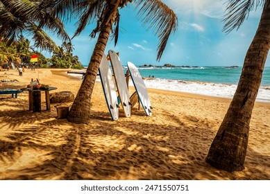 Surfboard and palm tree on the beach, surfing area. Travel adventure and water sport. Beautiful Sri Lanka