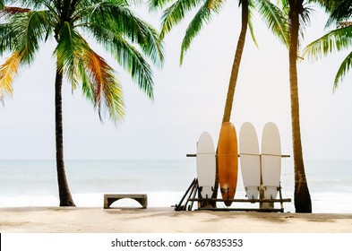 Surfboard and palm tree on beach background. Vintage tone filter color style.  - Powered by Shutterstock