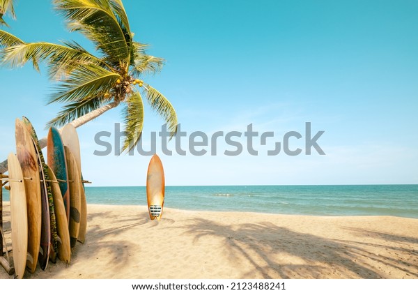 Surfboard and palm tree on\
beach with beach sign for surfing area. Travel adventure and water\
sport. relaxation and summer vacation concept. vintage color tone\
image.