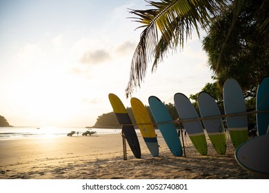 Surfboard setup under palm tree beach. sunset colourful sky on summer holidays. Jet ski on sea beach.Tourism relax umbrella on island famous beach.Sunny or sunset.