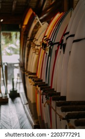 Surfboard Shop. Surfboards Line Up. Surford's Choice.