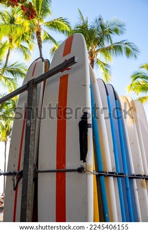 Surfboards on Waikiki Beach standing in a rack at a beach rental shop.