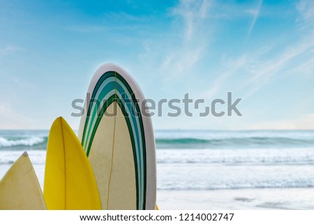 Surfboards stand in a row against the waves and blue sky, concept of leisure, sports lifestyle, escape from the city bustle. Beautiful seascape. Empty place for text, copy space. 