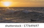 surfer