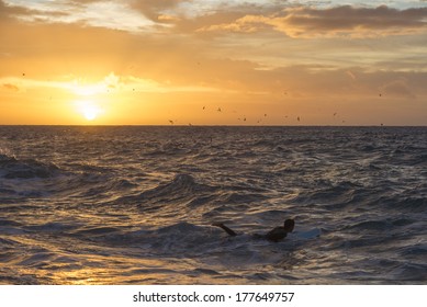 surfer