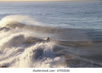 Surfer