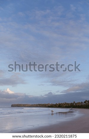 Surfer getting out of the water in Bahia