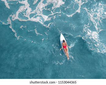 Surfer Girl On Surfboard In Blue Ocean, Aerial View