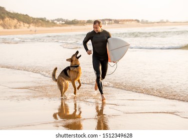 Surfer having fun with best friend german shepherd running and playing on dog-friendly beach at sunset. Summer fun surfing vacation with your dog, pet friendly trip and outdoors adventure lifestyle.