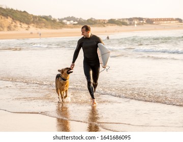 Surfer Having Fun With Best Friend German Shepherd Running And Playing On Dog-friendly Beach At Sunset. Summer Fun Surfing Vacation With Your Dog, Pet Friendly Trip And Outdoors Adventure Lifestyle.