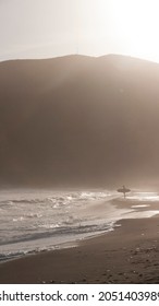 Surfer Holding Board In Sunset Beach Shore