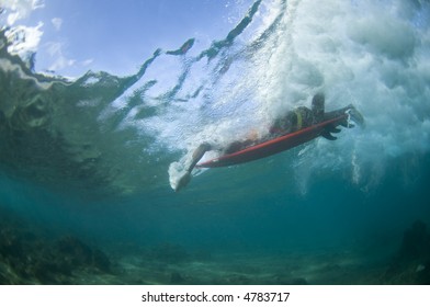 surfer paddling for a wave