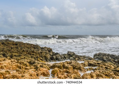 A Surfer Riding A Wave On A Rocky Florida Beach