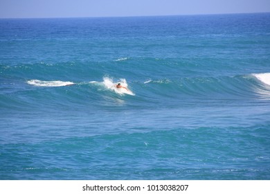 The surfer rode the wave skillfully