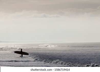 Surfer walking into ocean carrying longboard surfboard - Powered by Shutterstock