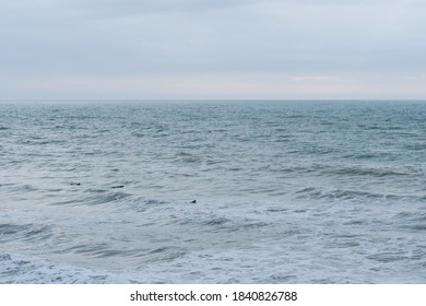 
Surfers Swim In The English Channel