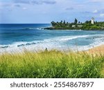 Surfers Waimea Bay North Shore Oahu Hawaii Waimea is relatively flat until the winter months