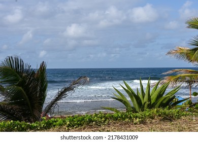 Surfing At The Soup Bowl In Barbados