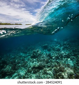 A Surfing Wave With Waterline Over Tropical Coral Reef