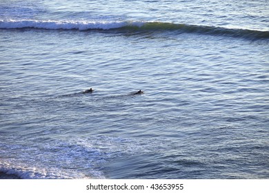 Surfing the waves.