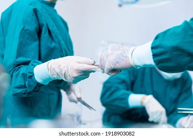 The surgeon was handed a pair of scissors by another doctor. Close-up of surgeons hands holding surgical scissors and passing surgical equipment. - Powered by Shutterstock