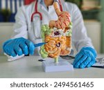 Surgeon with scalpel on digestive system model. Surgical interventions on intestines and resection of small and large intestines