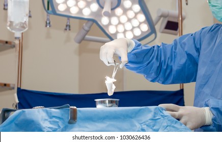 Surgeons Or Doctor Hands With Protective Glove Hold Sponge Holding A Sterilzed Gauze With Betadine Antiseptic Liquid For Skin To Clean Or Prep Wounds And Surgical Areas In Operation Room,Health Care,