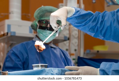 Surgeons Or Doctor Hands With Protective Glove Hold Sponge Holding A Sterilzed Gauze With Betadine Antiseptic Liquid For Skin To Clean Or Prep Wounds And Surgical Areas In Operation Room,Health Care,