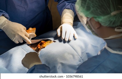 Surgeons Or Doctor Hands With Protective Glove Hold Sponge Holding A Sterilzed Gauze With Betadine Antiseptic Liquid For Skin To Clean Or Prep Wounds And Surgical Areas In Operation Room,Health Care,