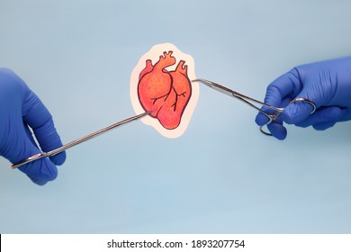 Surgeons ' Gloved Hands Hold Clamps With A Painted Human Heart. The Concept Of Organ Transplantation. Blue Background.