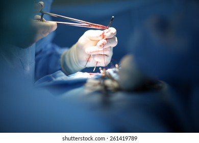 Surgeon's Hand Holding A Sewing Needle