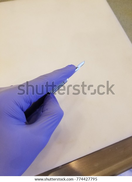 A surgeon\'s hand in nitrile glove practices\
cut. Healthcare instruments also used in biomedical research\
laboratories.  Operation preparation practiced for precision and\
technique.