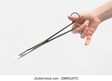 Surgery And Medicine Theme: Doctor's Hand Holding A Surgical Clamp With Swab Isolated On White Background In Studio