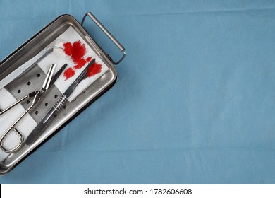 Surgical Instrument Tray. Veterinary, Surgery Table, View From Above With Copy Space