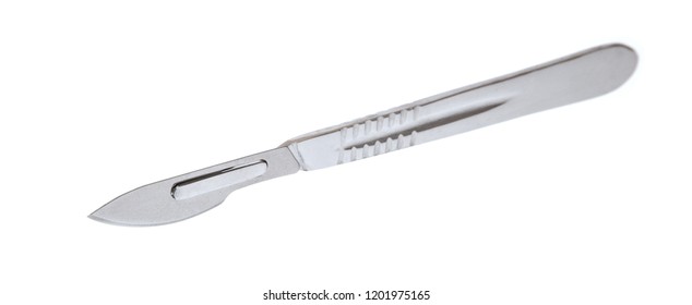 what is a scalpel used for in science