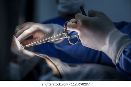 Surgical Suture Medicine