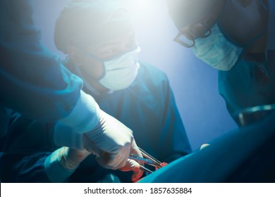 Surgical Team Or Doctor And Staff Have  Vivisection In Surgery Room Of The Hospital