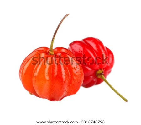 Surinam Cherry Fruit Angled Pose With Ribbed Brigh Isolated On White Background