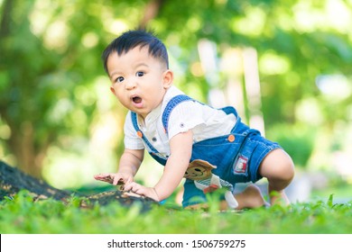Surprise feeling of Funny baby boy crawling on green grass meadow in city park morning light