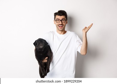 犬 驚く の画像 写真素材 ベクター画像 Shutterstock