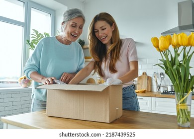Surprised senior woman and her adult daughter unpacking box while standing at the domestic kitchen - Shutterstock ID 2187439525