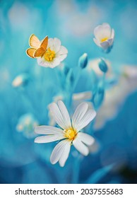 Surprisingly beautiful soft elegant white flowers with buds and yellow butterfly on blue background, macro. Exquisite graceful easy airy magic artistic image nature. - Shutterstock ID 2037555683