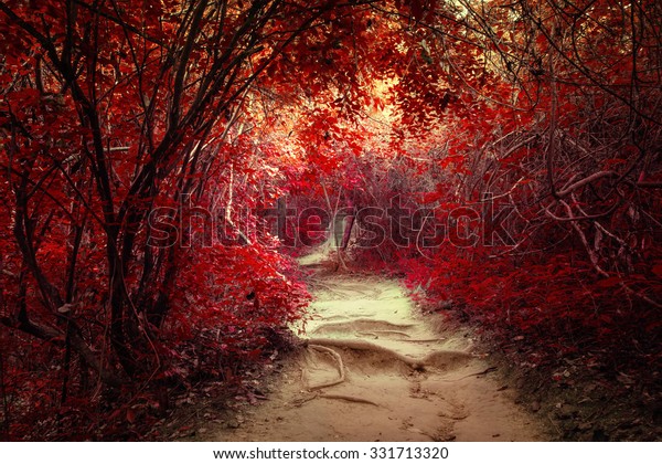 Surreal red fantasy landscape at tropical jungle forest