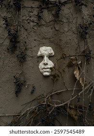 A surreal composition featuring a sculpted plaster face mounted on an old textured wall, surrounded by dried vines and dark blue wild grapes. The eerie contrast of decay and artistry evokes mystery