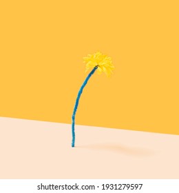 Surreal Concept. A Yellow Flower Head On Blue Pipe Cleaner. Champagne Color And Orange Background.