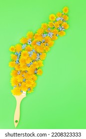 Surreal Dandelion And Forget Me Not Edible Flower Design With Paint Brush. Health Food Concept, Natural Herbal Plant Medicine To Lower Cholesterol And Blood Pressure. Good For Bee Insect Pollination.