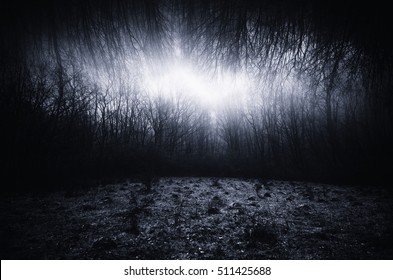 Surreal Dark Landscape