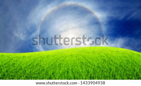 Surreal fantasy extraterrestrial landscape. Digitalart artwork. Sun halo in the blue sky around the sun over the green field. Natural phenomenon. Green grass on meadow in summer sunny day
